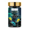 Kapiva Shilajit Gold 60 Capsules